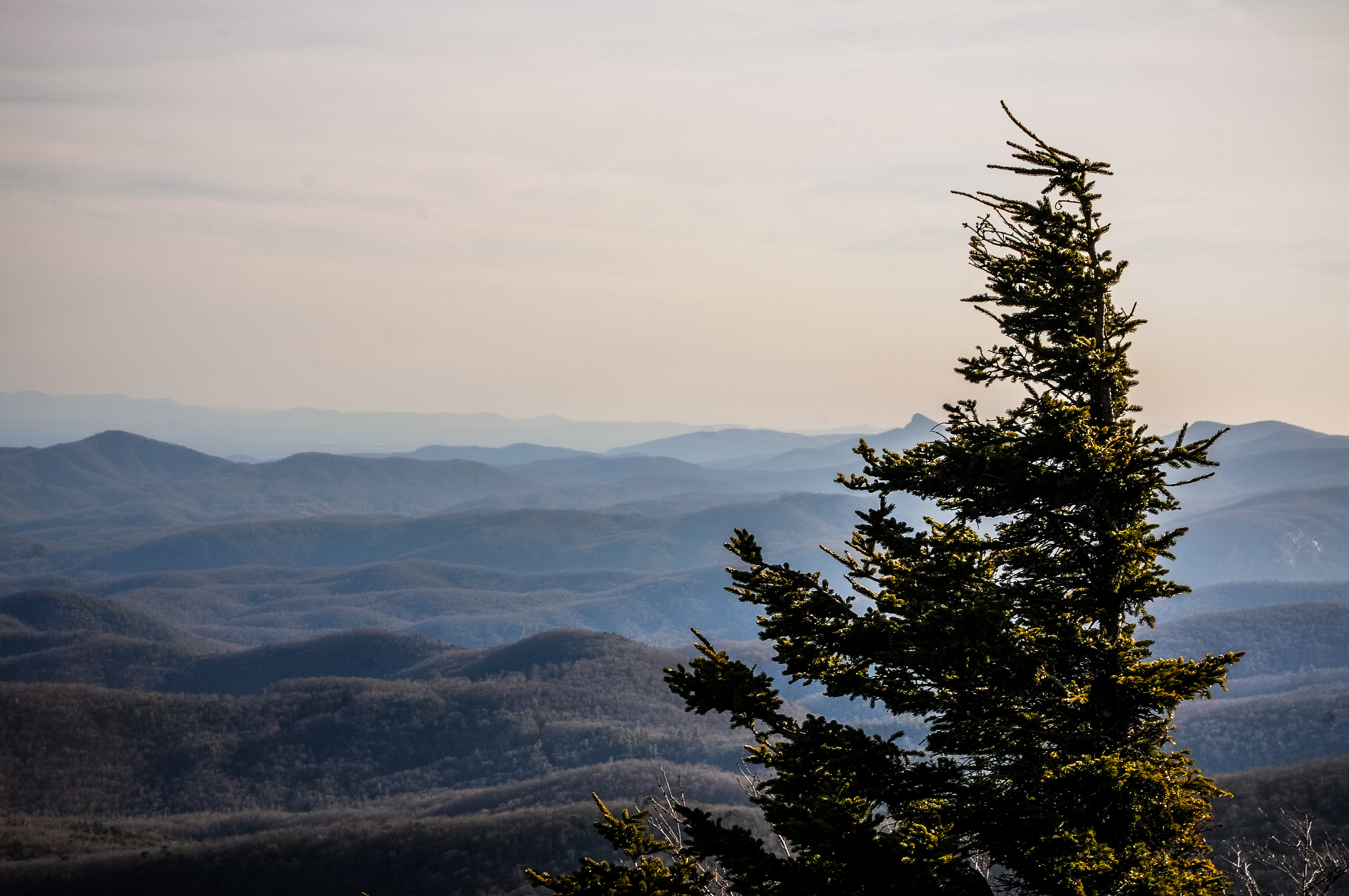 Photo by: Kayla H. Greene KG Everyday Photography